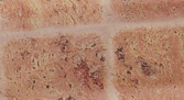 Kafel
