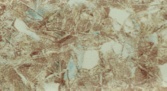 Kolorado
